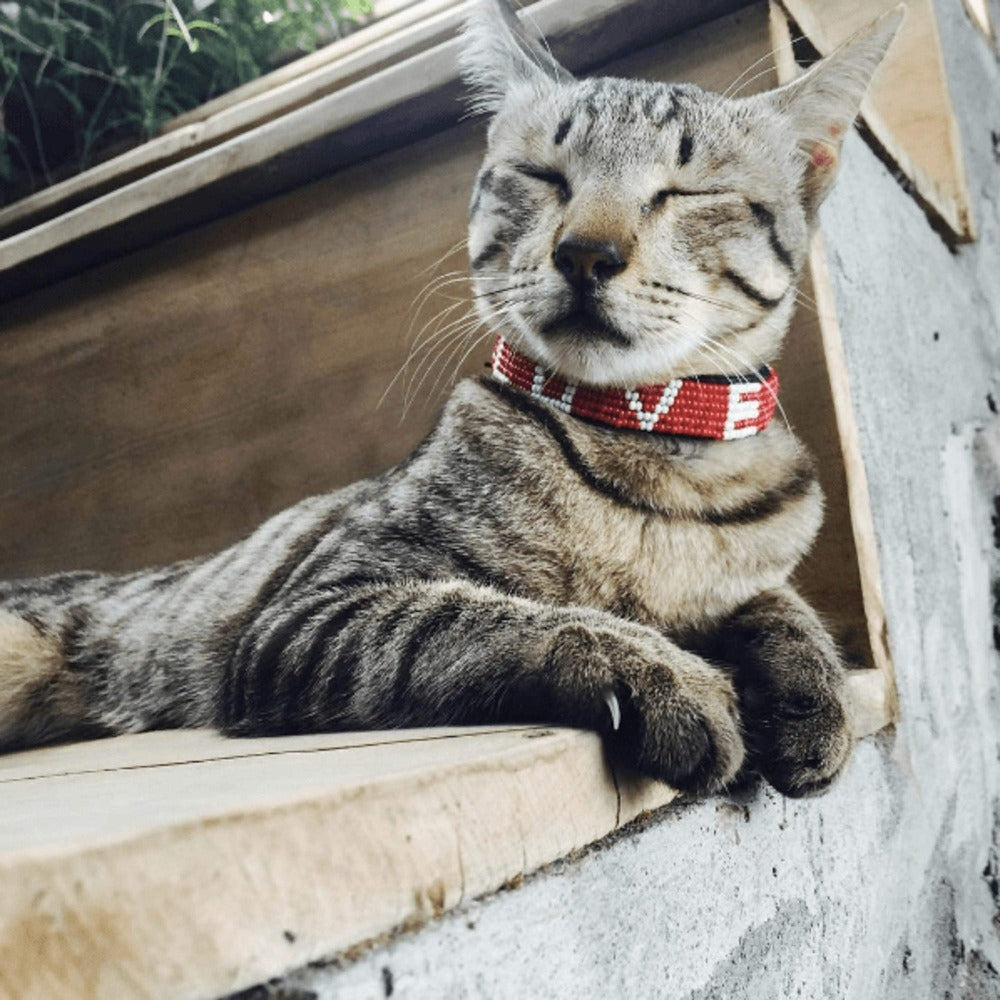 Love Beaded Dog Collar