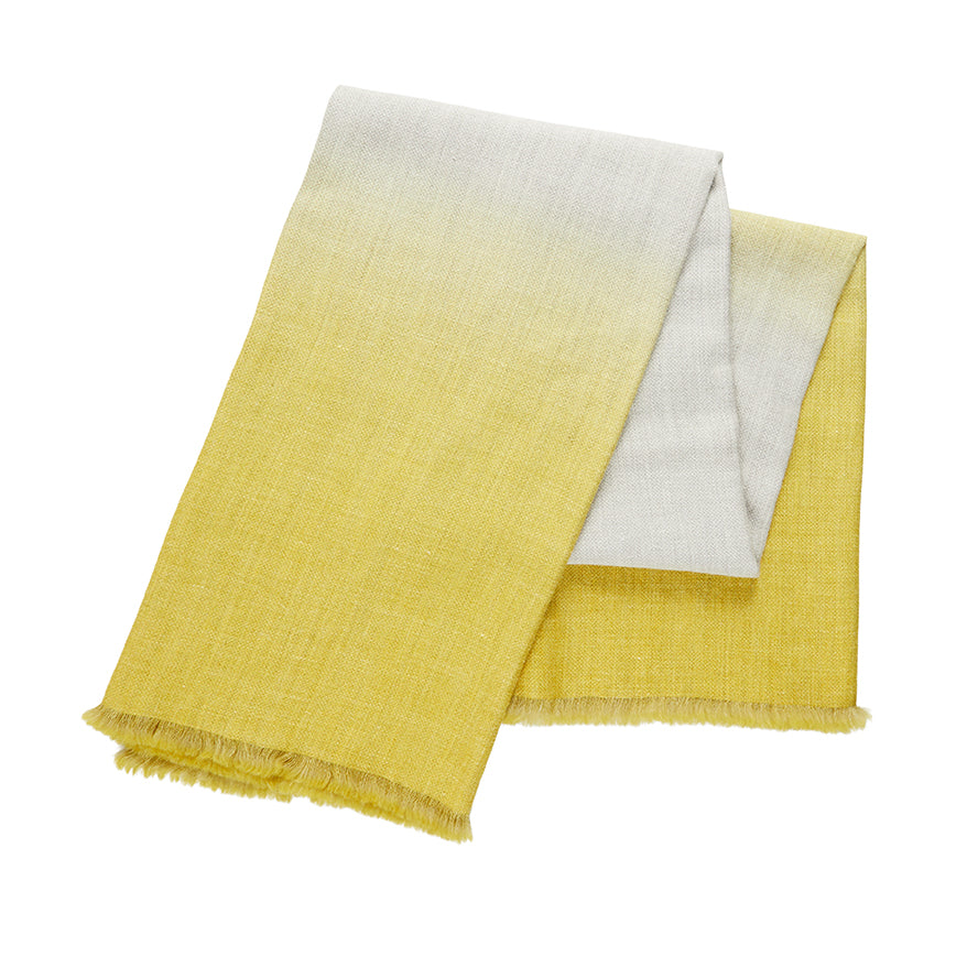 Ombre Throw