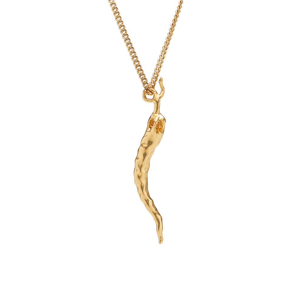 Italian Chili Necklace